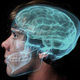 Illustration for article titled Your Brain Forgets Stuff Carefully and on Purpose